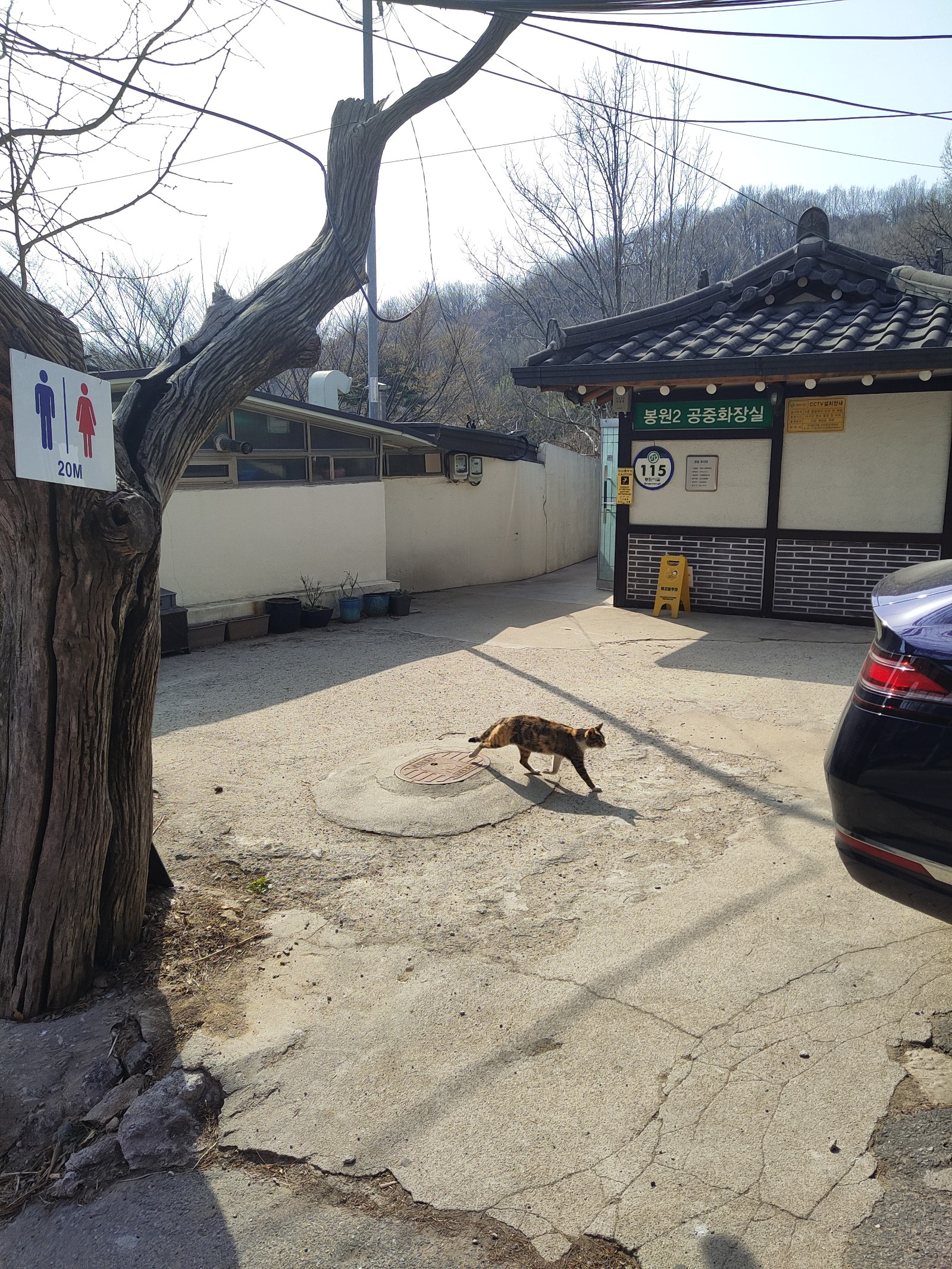 travel image