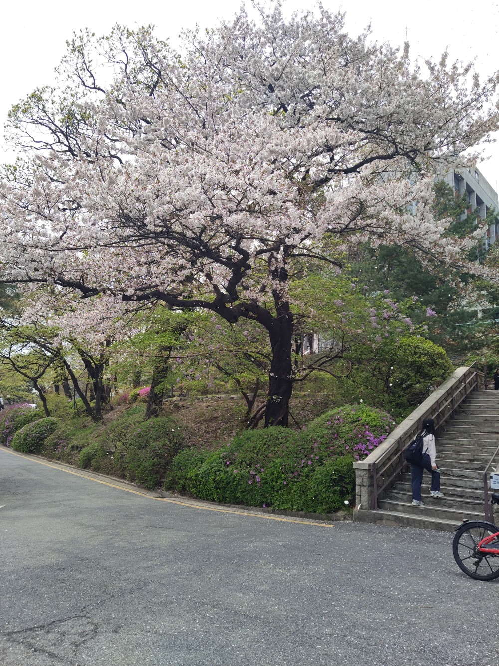 travel image
