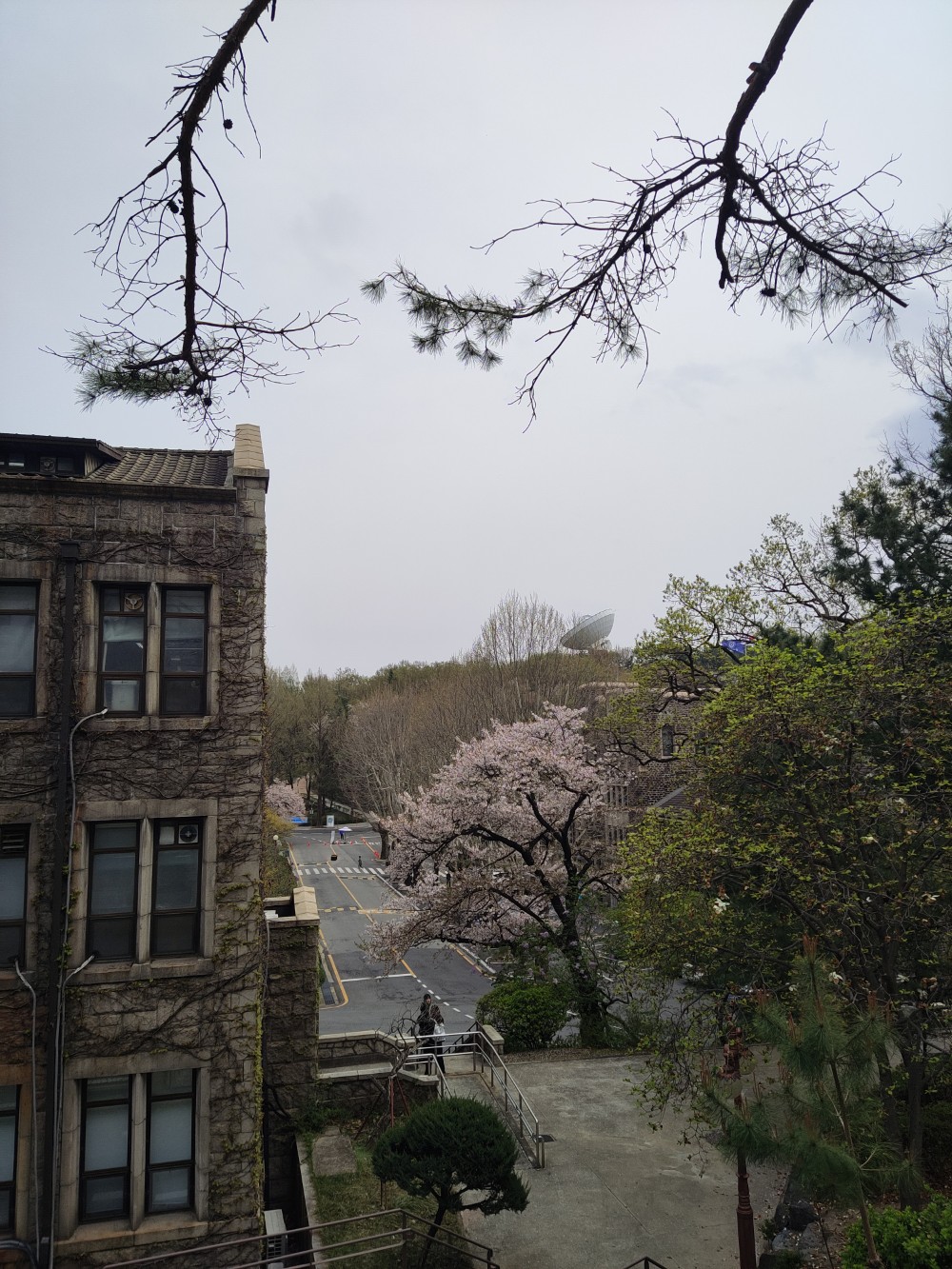 travel image