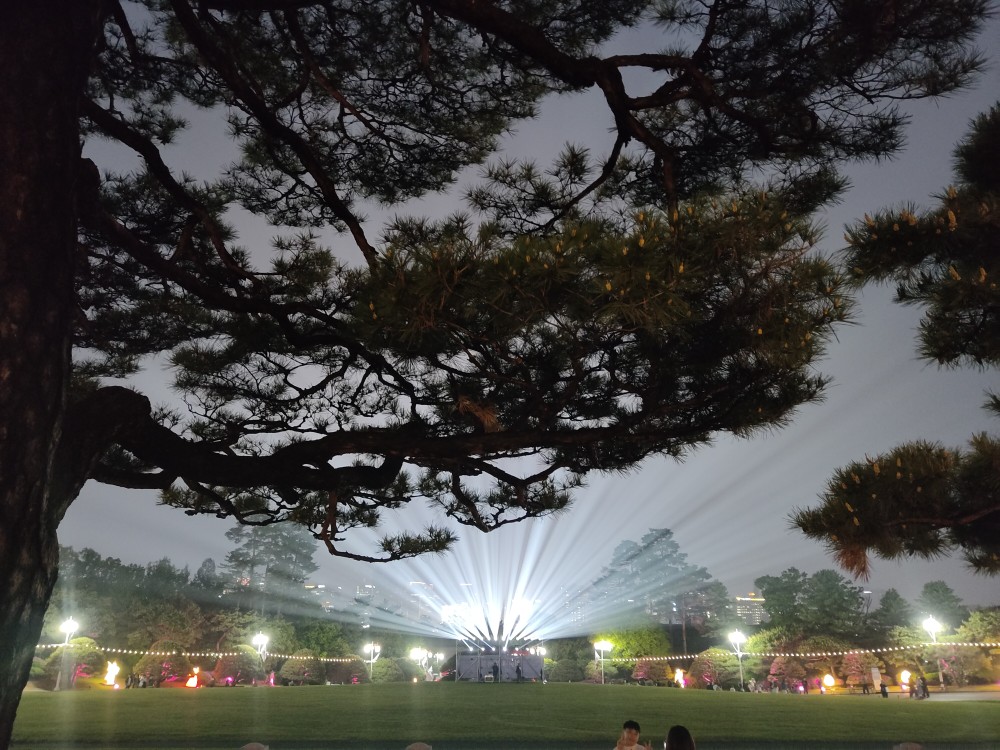 Korea Week 9 Image 11