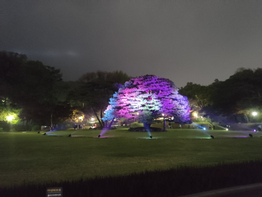 Korea Week 9 Image 15