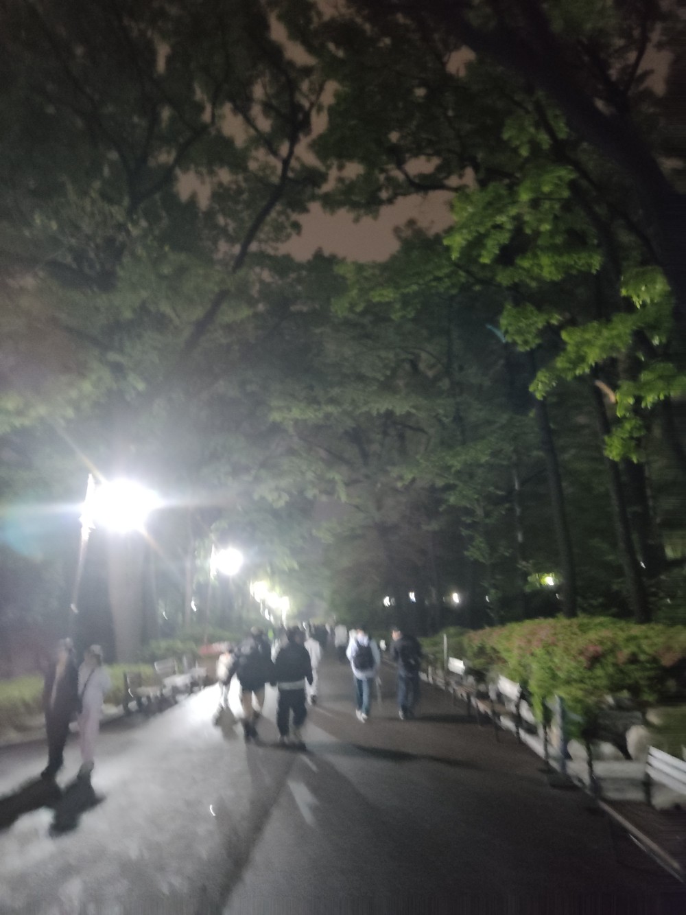 Korea Week 9 Image 19