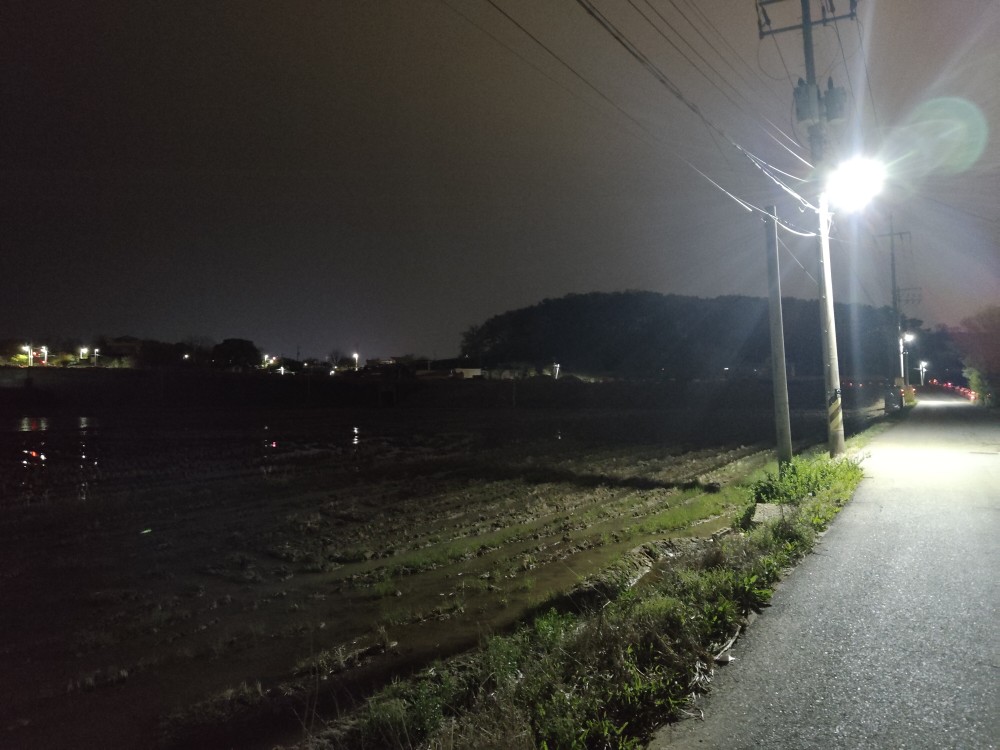 Korea Week 9 Image 25